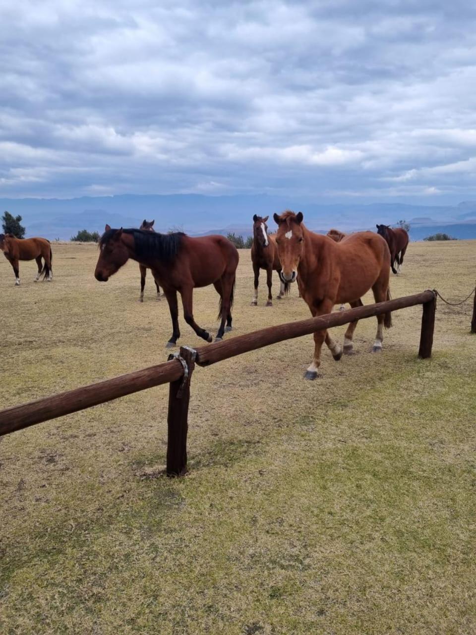 バーグビル Drakensberg Mountain Retreatゲストハウス エクステリア 写真