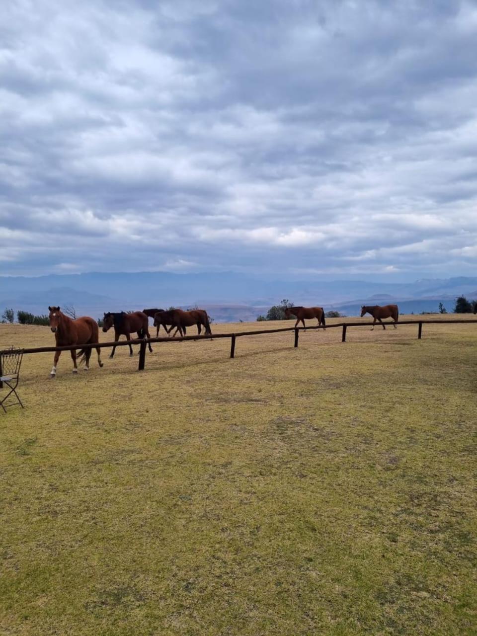 バーグビル Drakensberg Mountain Retreatゲストハウス エクステリア 写真