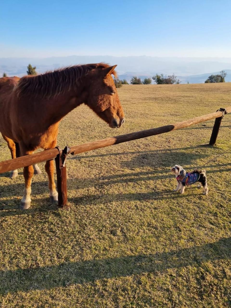バーグビル Drakensberg Mountain Retreatゲストハウス エクステリア 写真